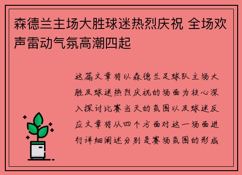 森德兰主场大胜球迷热烈庆祝 全场欢声雷动气氛高潮四起